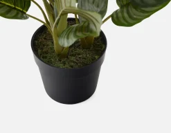 ALLY artificial potted plant 55 cm