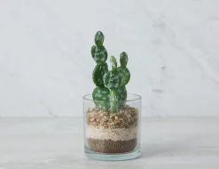 ALLY artificial potted plant 55 cm