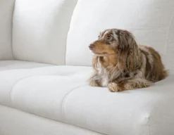 ANDREW right-facing sectional sofa in performance fabric