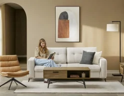 BRAD mid-century modern sofa-bed
