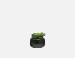 CAORY artificial potted plant 11 cm