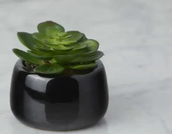 CAORY artificial potted plant 11 cm