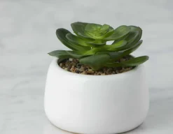 CAORY artificial potted plant 11 cm