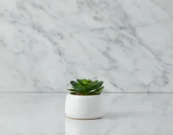 DRACAENA artificial potted plant 50 cm
