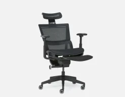 ERGO ergonomic office chair