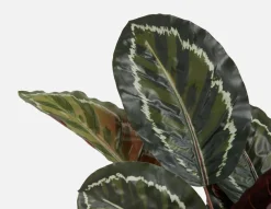 FANI artificial potted plant 70 cm