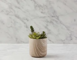 FARNAZ artificial potted plant 19 cm