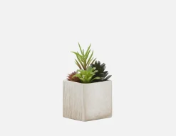 FARNAZ artificial potted plant 19 cm