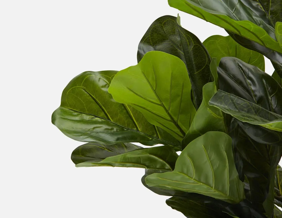 FIDDLE LEAF I artificial potted plant 150 cm