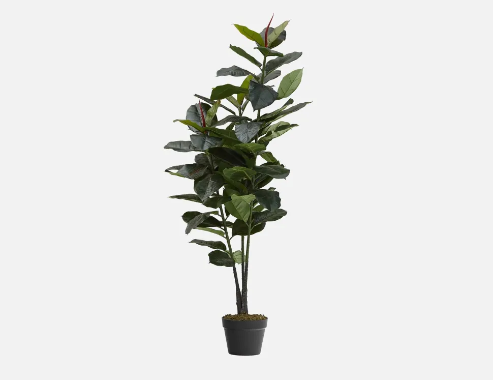 FIDDLE LEAF I artificial potted plant 150 cm