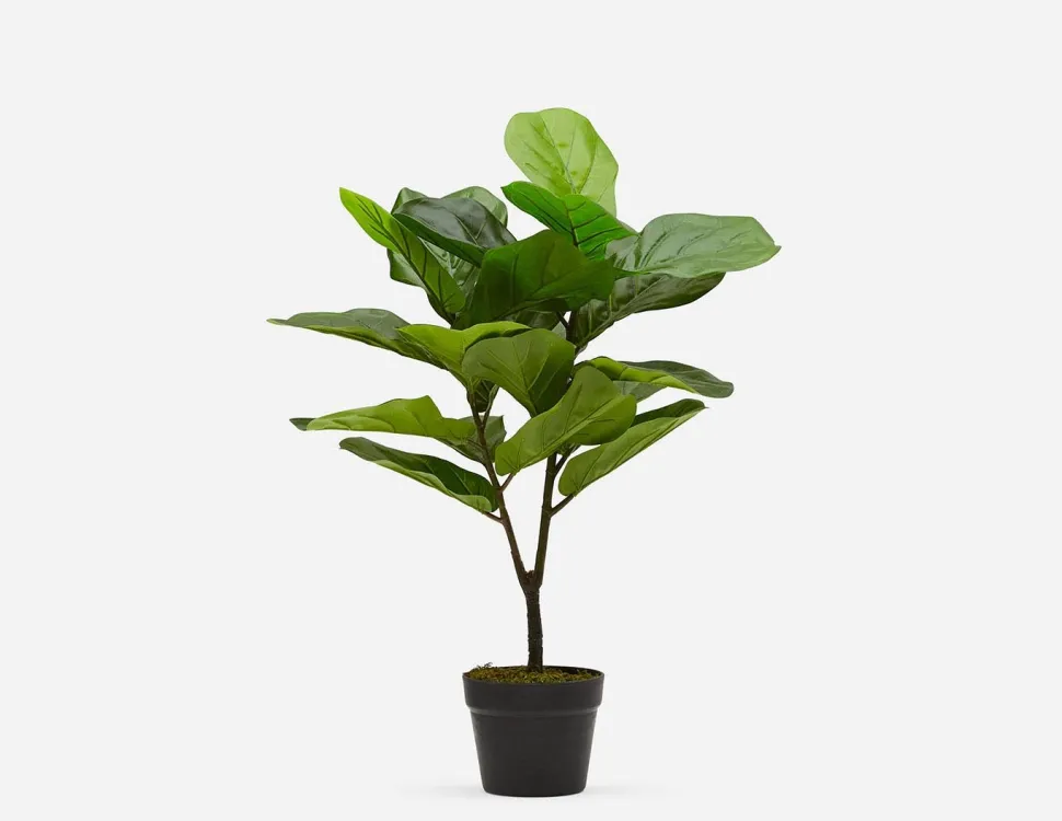 FIDDLE LEAF II artificial potted plant 70 cm