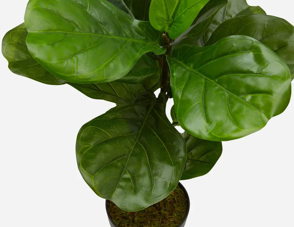 FIDDLE LEAF II artificial potted plant 70 cm