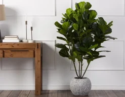 FIDDLE LEAF II artificial potted plant 70 cm