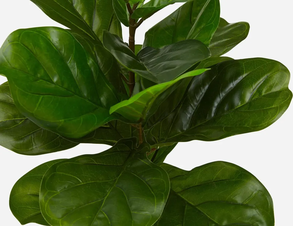 FIDDLE LEAF II artificial potted plant 70 cm
