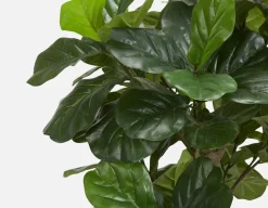 FIDDLE TREE artificial potted plant 190 cm