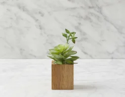 FORET artificial potted plant 7 cm