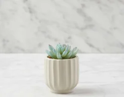 FYTO II artificial potted plant 28 cm