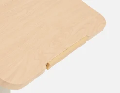 LILY adjustable portable desk