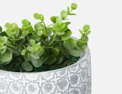 LIVI I artificial potted plant 17 cm