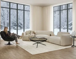 MODENA console