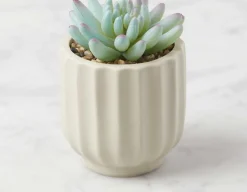 NAVA artificial potted plant 12 cm