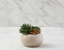 OMORFOS artificial potted plant 16 cm