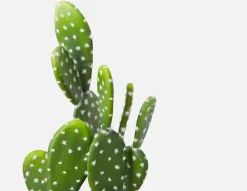 OPUNTIA artificial potted cactus 41 cm
