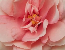 PEONY artificial flower 61 cm