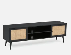 SELENA media unit