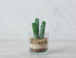 SENECIO artificial potted plant 19 cm