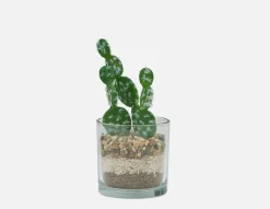 SENECIO artificial potted plant 19 cm