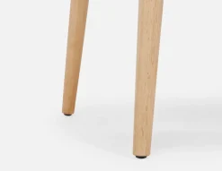 SOLENE modern scandinavian dining chair