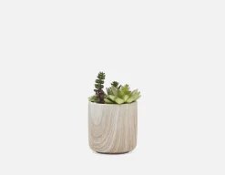 TOBY artificial potted plant 18 cm