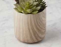 TOBY artificial potted plant 18 cm